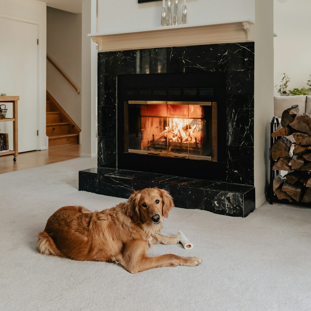 a dog and owner laying on the floor enjoying new ac system in front of a fireplace